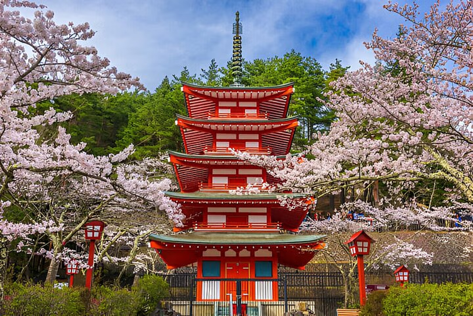 10 Day Japan Private Tour Unveiling Maximum Attractions