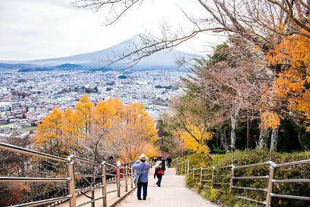 10 Day Japan Private Tour Unveiling Maximum Attractions