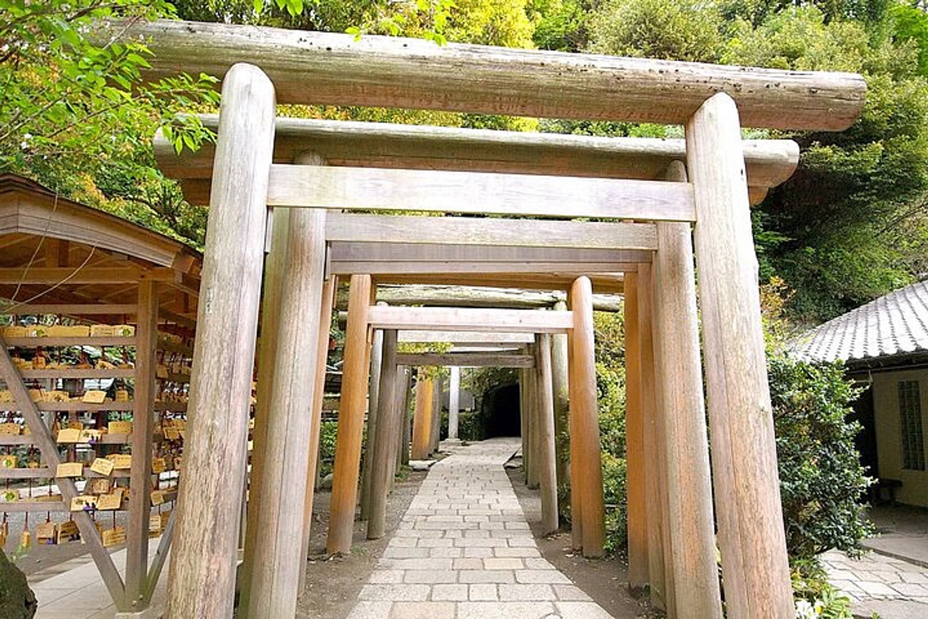 From Tokyo Kamakura and Enoshima Private Day Tour