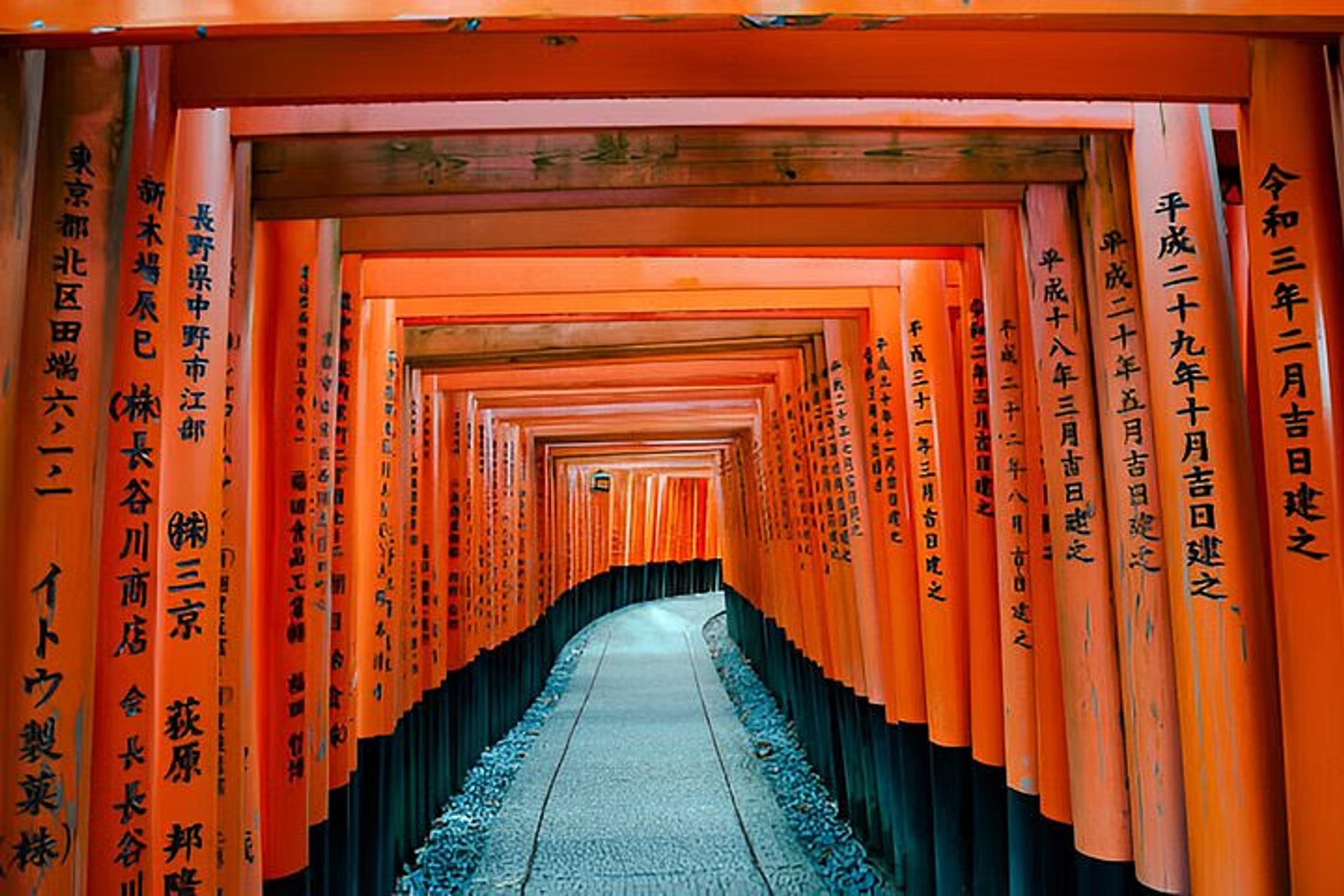 Kyoto Highlights Private Tour with Pick and Drop