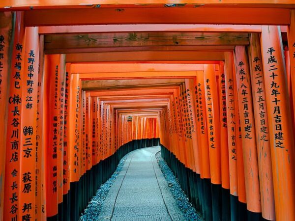 Kyoto & Nara Private Day Tour