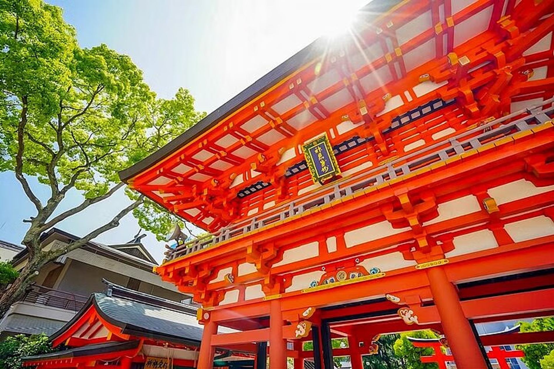 Kobe & Himeji Cultural Highlights